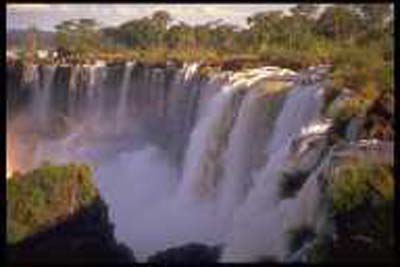 parque-nacional-de-iguazu-cataratas-0028